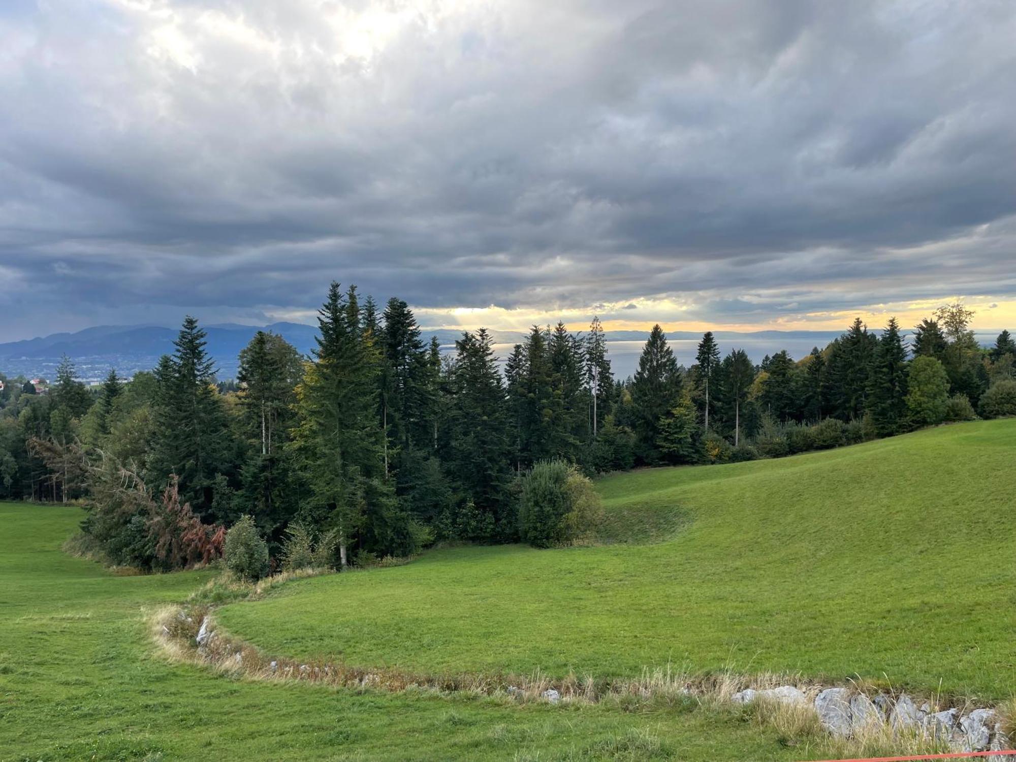 Eichen-Chalet Villa Eichenberg Værelse billede